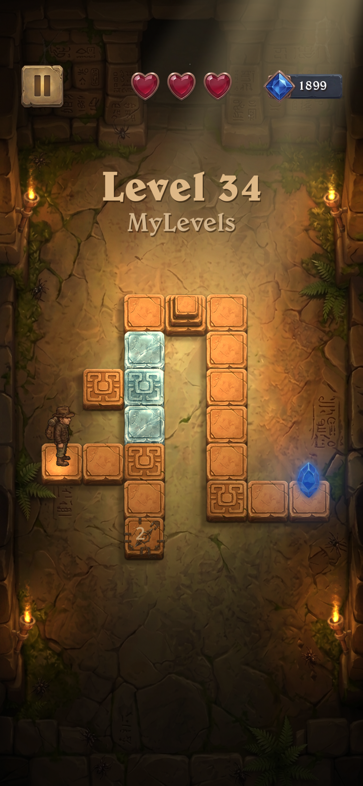 Memorize phase — study the maze